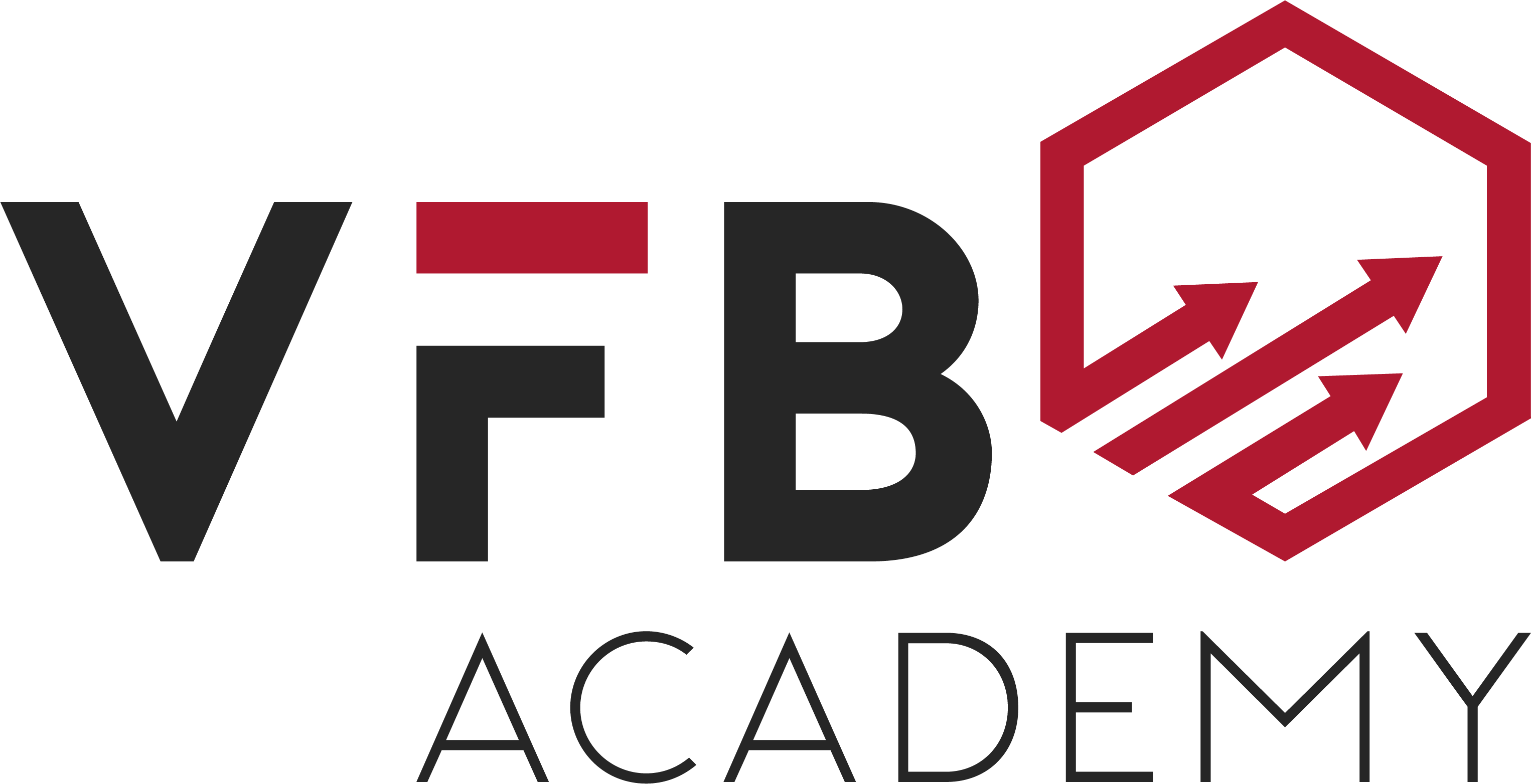 VFB Academy